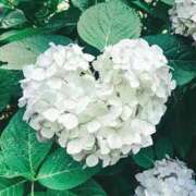 ヒメ日記 2025/07/11 14:34 投稿 前田 ローズマリー大塚