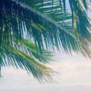 ヒメ日記 2025/07/25 19:04 投稿 前田 ローズマリー大塚