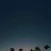 ヒメ日記 2025/08/22 16:44 投稿 前田 ローズマリー大塚