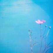 ヒメ日記 2025/09/23 11:34 投稿 前田 ローズマリー大塚