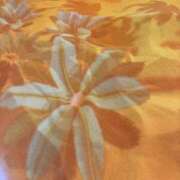 ヒメ日記 2025/10/08 16:14 投稿 前田 ローズマリー大塚