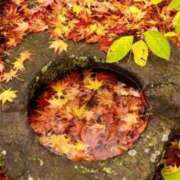 ヒメ日記 2025/10/30 10:04 投稿 前田 ローズマリー大塚