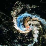 ヒメ日記 2025/11/21 12:14 投稿 前田 ローズマリー大塚