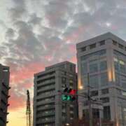 ヒメ日記 2025/11/27 15:44 投稿 前田 ローズマリー大塚