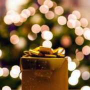 ヒメ日記 2025/12/11 14:54 投稿 前田 ローズマリー大塚