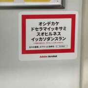 ヒメ日記 2026/04/22 11:10 投稿 前田 ローズマリー大塚