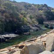 ヒメ日記 2025/04/04 11:09 投稿 ましろ 山口周南ちゃんこ