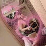 ヒメ日記 2025/05/02 00:30 投稿 ましろ 山口周南ちゃんこ