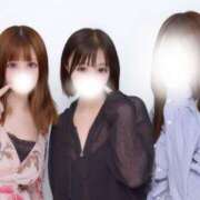 ヒメ日記 2025/07/24 11:33 投稿 ましろ 山口周南ちゃんこ