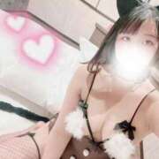 ヒメ日記 2025/11/14 00:07 投稿 ましろ 山口周南ちゃんこ