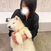 ヒメ日記 2025/11/23 12:01 投稿 ましろ 山口周南ちゃんこ