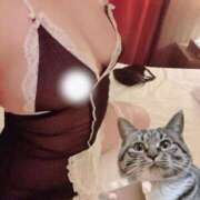 ヒメ日記 2025/12/19 23:55 投稿 ましろ 山口周南ちゃんこ