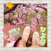 ヒメ日記 2025/03/18 16:08 投稿 ひより クラブリリー