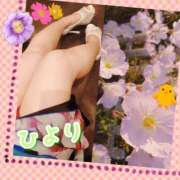 ヒメ日記 2025/05/16 19:02 投稿 ひより クラブリリー