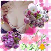 ひより 美人ちゃん クラブリリー