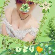 ひより 伐採、完了！！ クラブリリー