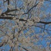 ヒメ日記 2025/04/09 22:44 投稿 ましろ（花嫁） Yシャツと私