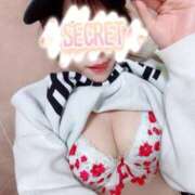 ヒメ日記 2025/11/15 12:36 投稿 ここあ Noble