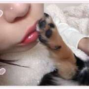 ヒメ日記 2025/05/02 19:05 投稿 マシロ ソープランドMAX‐マックス- 浅草店