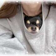 ヒメ日記 2026/01/21 15:11 投稿 マシロ ソープランドMAX‐マックス- 浅草店