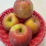 ヒメ日記 2024/12/10 14:00 投稿 神月れな 信州無限GP 総合受付 諏訪店