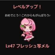 ヒメ日記 2024/12/12 11:30 投稿 神月れな 信州無限GP 総合受付 諏訪店