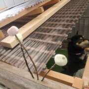 ヒメ日記 2025/01/16 22:35 投稿 神月れな 信州無限GP 総合受付 諏訪店