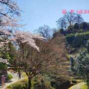 ヒメ日記 2025/04/12 20:55 投稿 神月れな 信州無限GP 総合受付 諏訪店