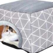 ヒメ日記 2025/04/19 13:44 投稿 神月れな 信州無限GP 総合受付 諏訪店