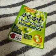 しょう 😽 しろうとCollection