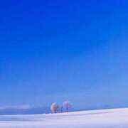 ヒメ日記 2024/12/29 00:24 投稿 西園しおり 恋する奥さん 西中島店