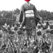 ヒメ日記 2025/04/19 15:50 投稿 西園しおり 恋する奥さん 西中島店