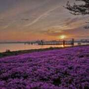 ヒメ日記 2025/04/21 18:13 投稿 西園しおり 恋する奥さん 西中島店