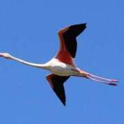 ヒメ日記 2025/05/01 21:26 投稿 西園しおり 恋する奥さん 西中島店