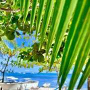 ヒメ日記 2025/05/13 17:39 投稿 西園しおり 恋する奥さん 西中島店