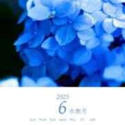 ヒメ日記 2025/06/01 12:29 投稿 西園しおり 恋する奥さん 西中島店