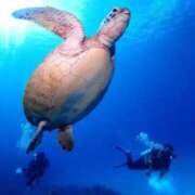 ヒメ日記 2025/06/24 13:07 投稿 西園しおり 恋する奥さん 西中島店