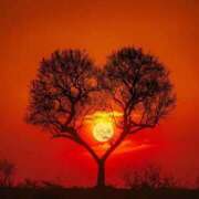 ヒメ日記 2025/08/13 19:02 投稿 西園しおり 恋する奥さん 西中島店