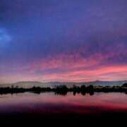 ヒメ日記 2025/11/10 16:14 投稿 西園しおり 恋する奥さん 西中島店