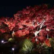 ヒメ日記 2025/12/11 20:24 投稿 西園しおり 恋する奥さん 西中島店