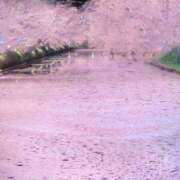 ヒメ日記 2026/04/24 18:19 投稿 西園しおり 恋する奥さん 西中島店