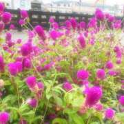 ヒメ日記 2025/01/25 14:20 投稿 ゆり ベイビーモコ