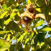 ヒメ日記 2025/01/31 13:06 投稿 ゆり ベイビーモコ