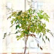 ヒメ日記 2025/02/07 08:57 投稿 ゆり ベイビーモコ