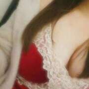 ヒメ日記 2025/02/11 14:04 投稿 ゆり ベイビーモコ