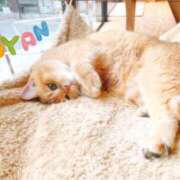 ヒメ日記 2025/02/17 18:04 投稿 ゆり ベイビーモコ