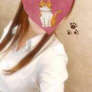 ヒメ日記 2025/02/22 15:18 投稿 ゆり ベイビーモコ