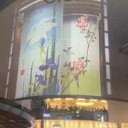 ヒメ日記 2025/03/01 13:36 投稿 ゆり ベイビーモコ