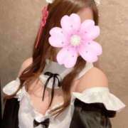 ヒメ日記 2025/03/16 16:03 投稿 ゆり ベイビーモコ