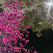 ヒメ日記 2025/03/18 14:23 投稿 ゆり ベイビーモコ